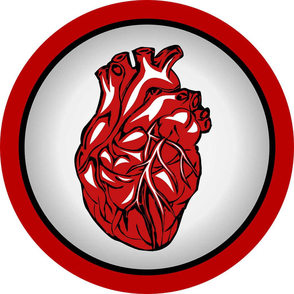 Heart Heartbeat Medical Frequency  - gfkDSGN / Pixabay